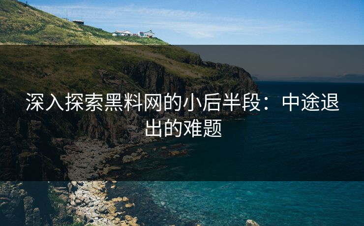 深入探索黑料网的小后半段：中途退出的难题